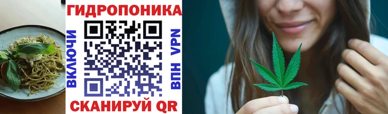 Купить где  Полтавская  Cannafood конопля 